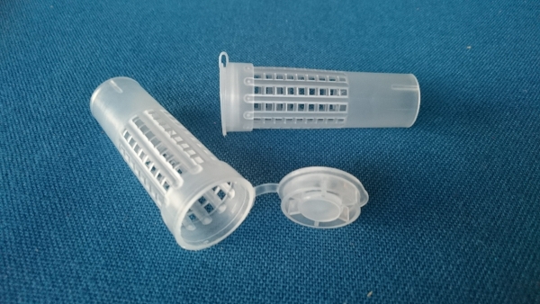 Schlüpfkäfig Nicot 10er Pack